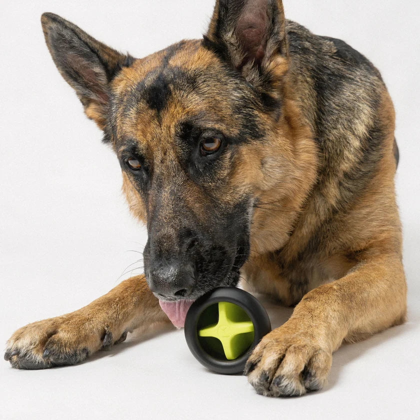 Barkus Kosmo 3 Toy