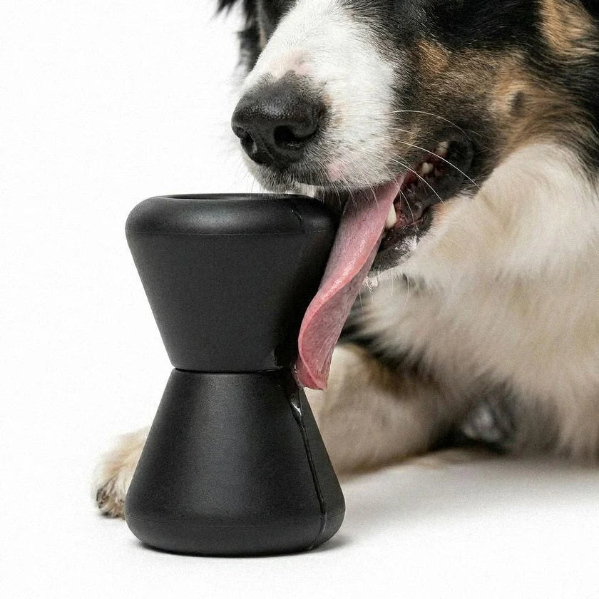 Barkus Kosmo 4 Toy