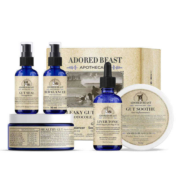 Adored Beast - Leaky Gut Protocol
