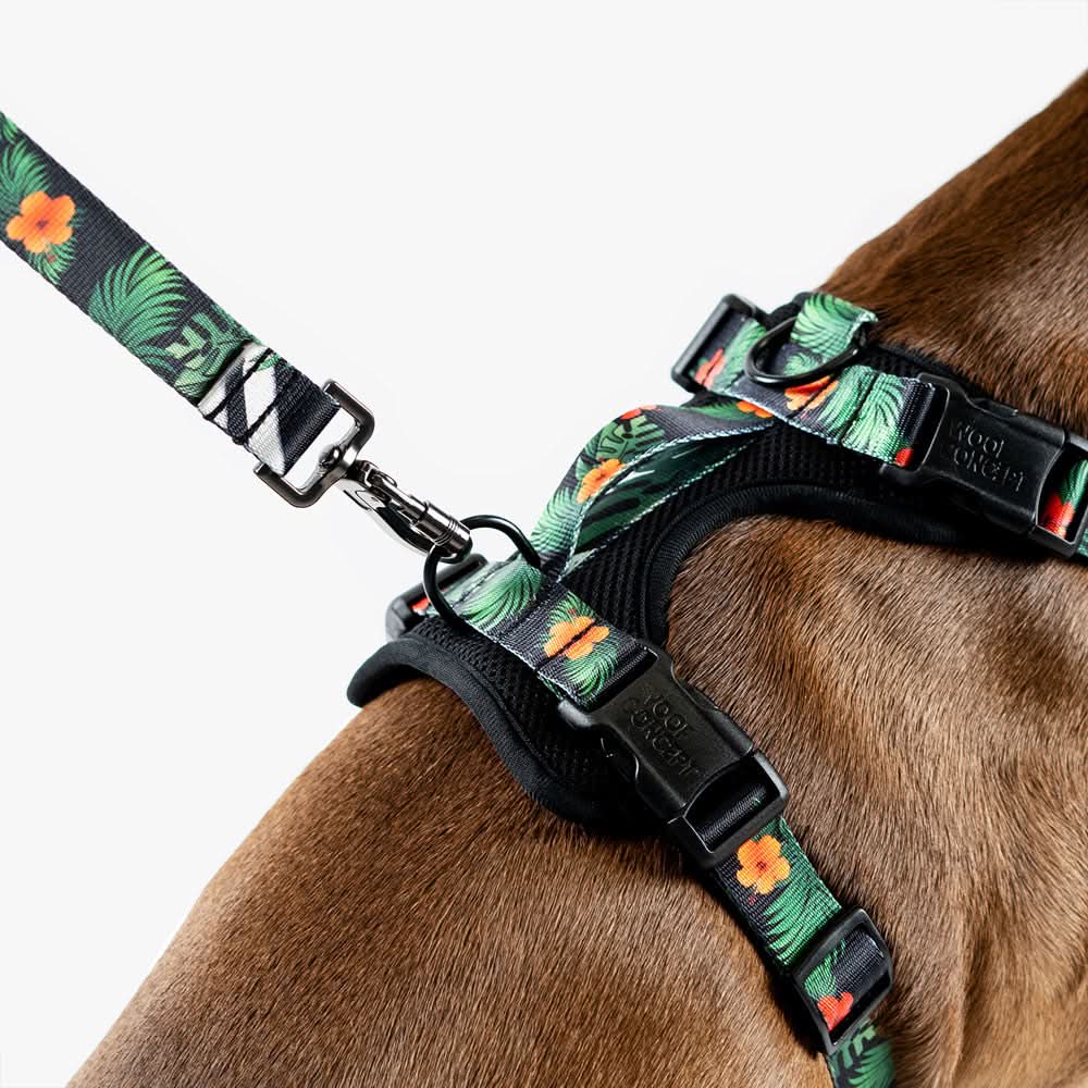 Woof Concept - Maui 2 Max Control Harness