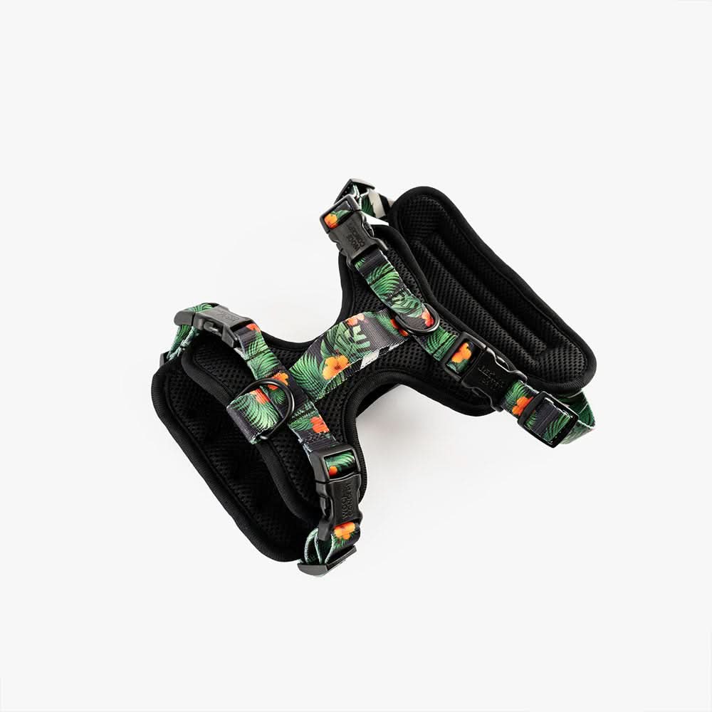 Woof Concept - Maui 2 Max Control Harness