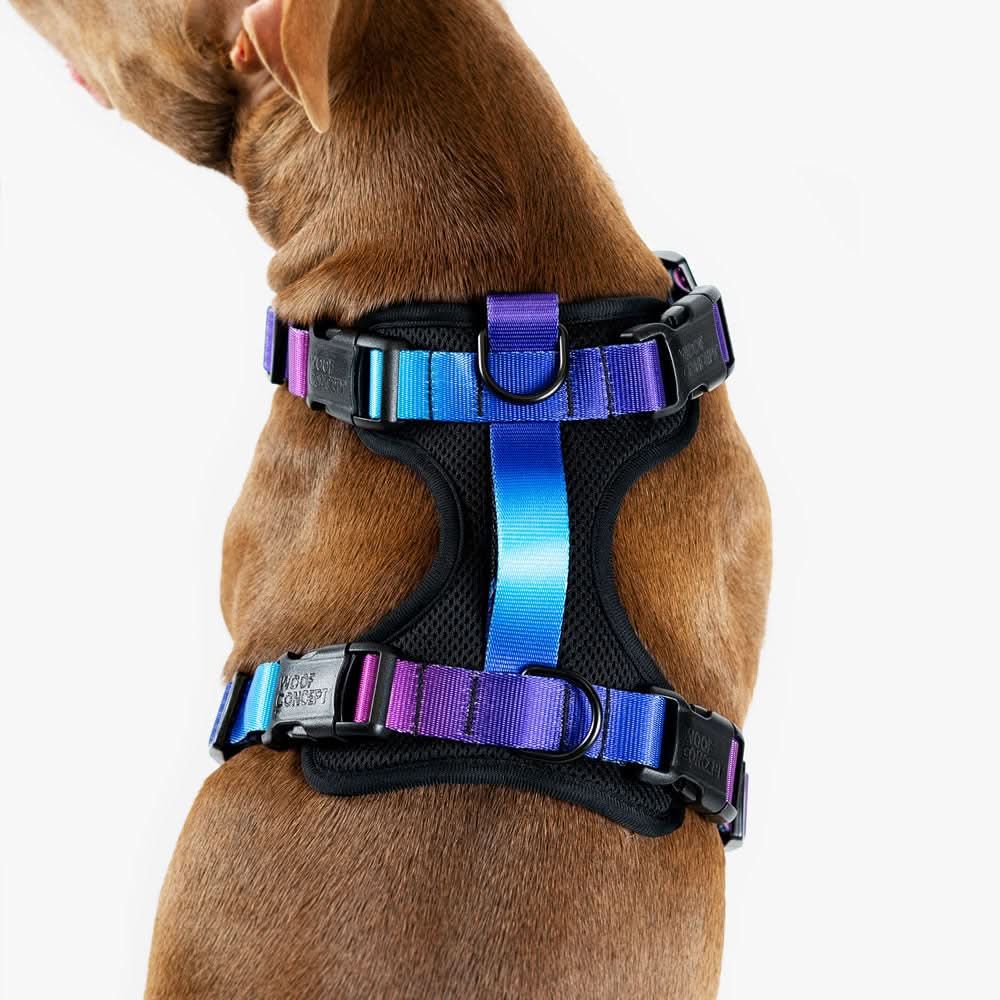Woof Concept - Mystic Max Control Harness