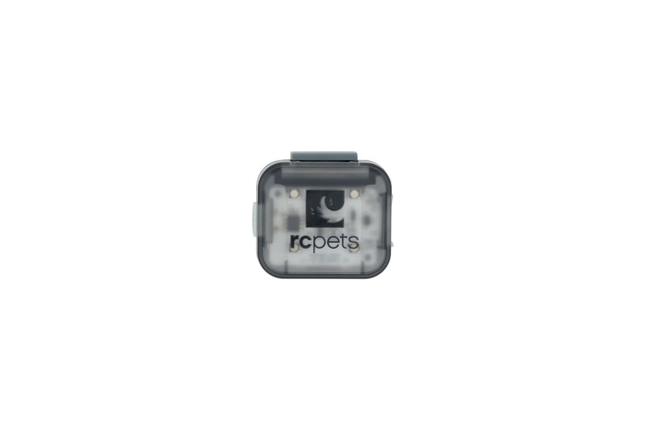 RC Pet - Light Up The Night Pack