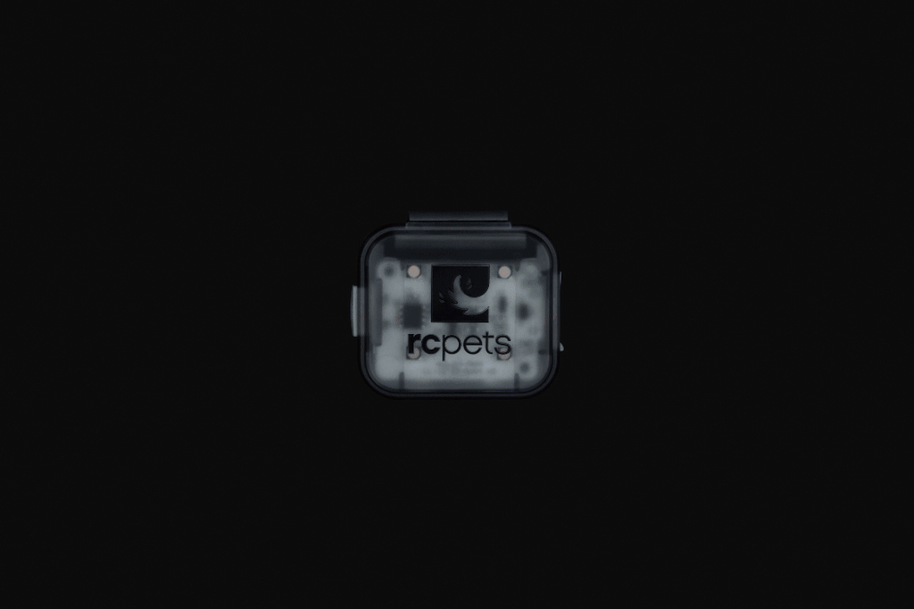 RC Pet - Light Up The Night Pack