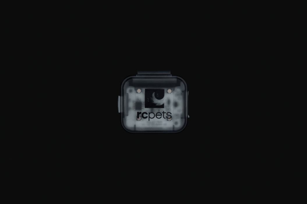 RC Pet - Light Up The Night Pack