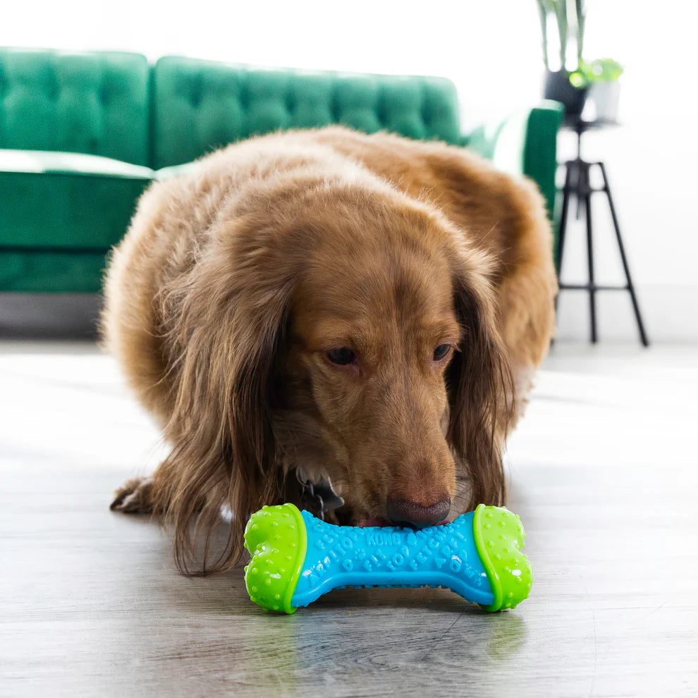 Kong CoreStrength Bone