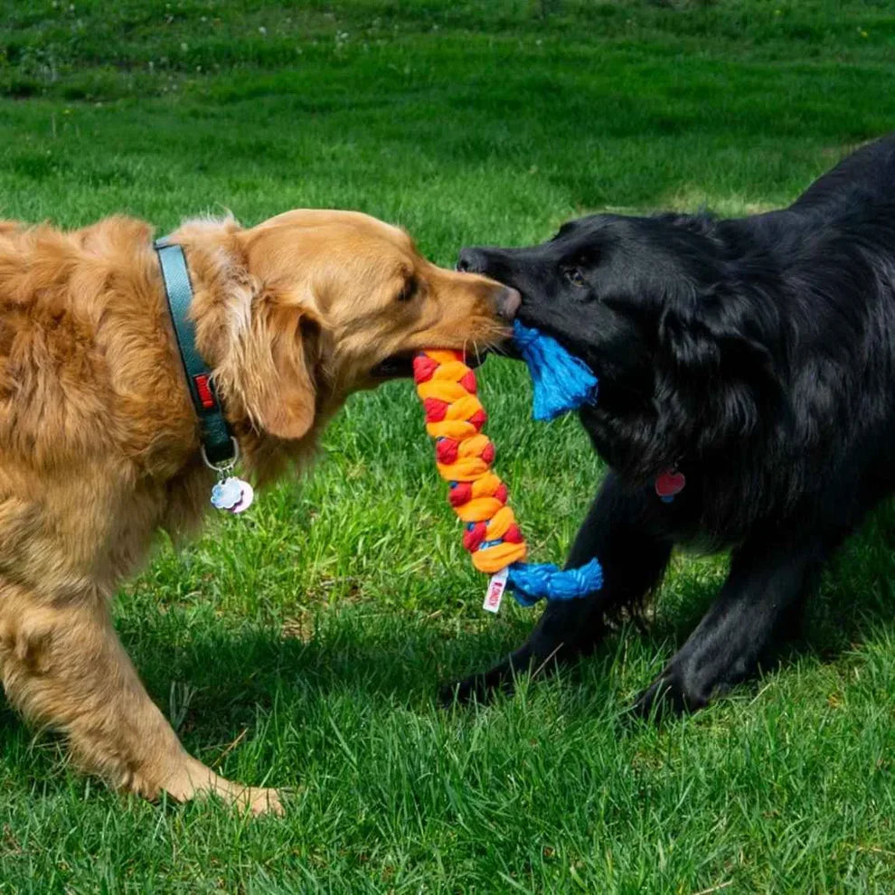KONG Rope Rally Stick
