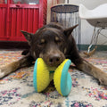 KONG Rerun Whoosh Ball