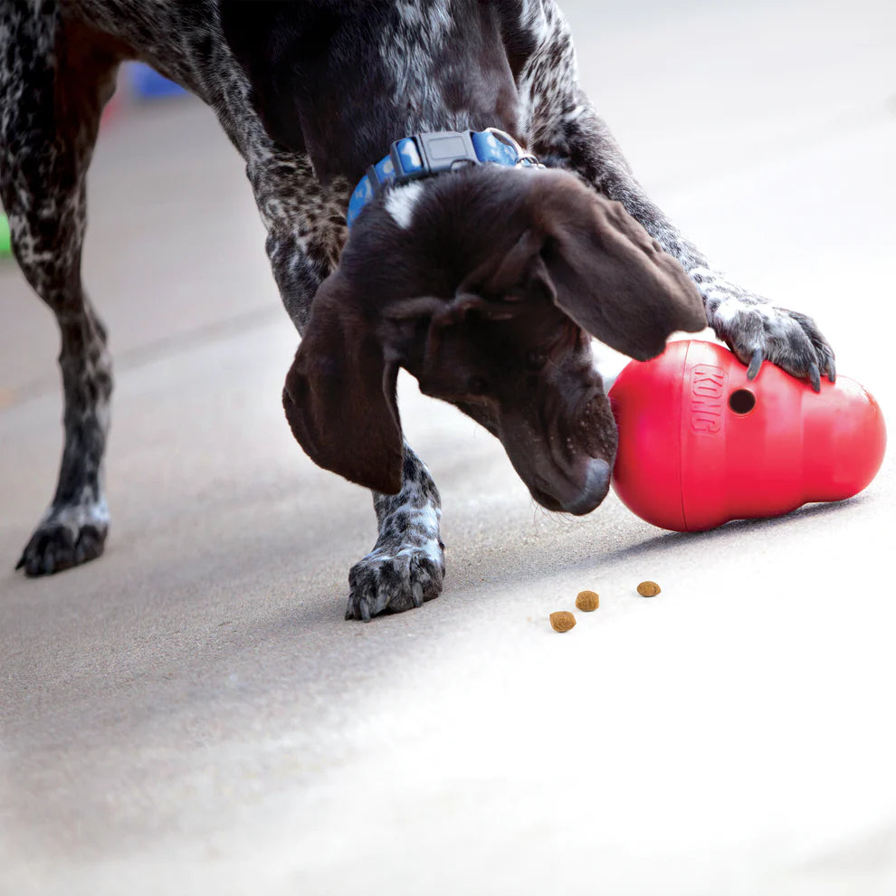 KONG Wobbler Food Dispenser