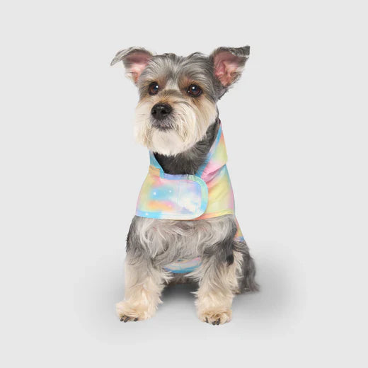 Canada Pooch Pick Me Ponch