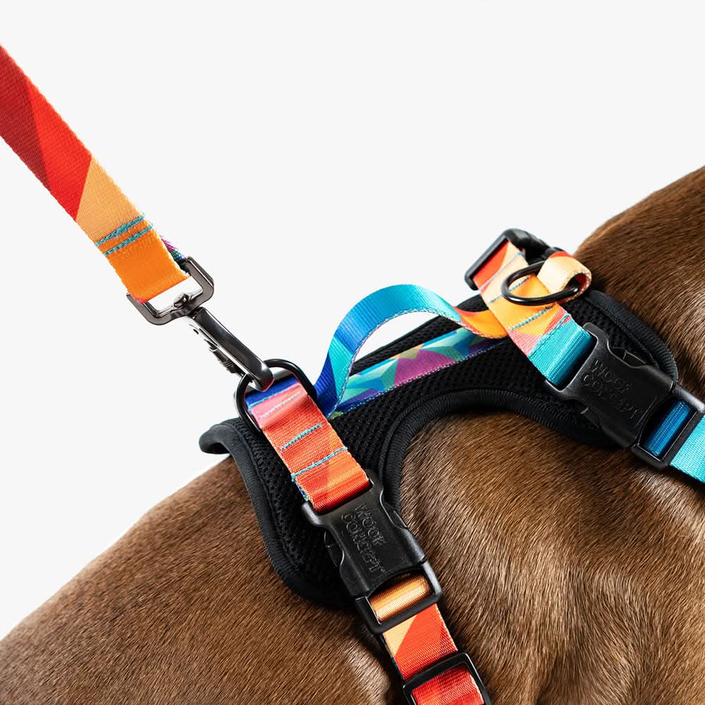 Woof Concept - Polygon 2 Max Control Harness