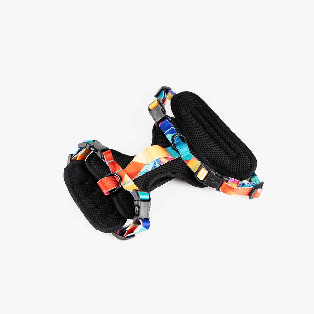 Woof Concept - Polygon 2 Max Control Harness