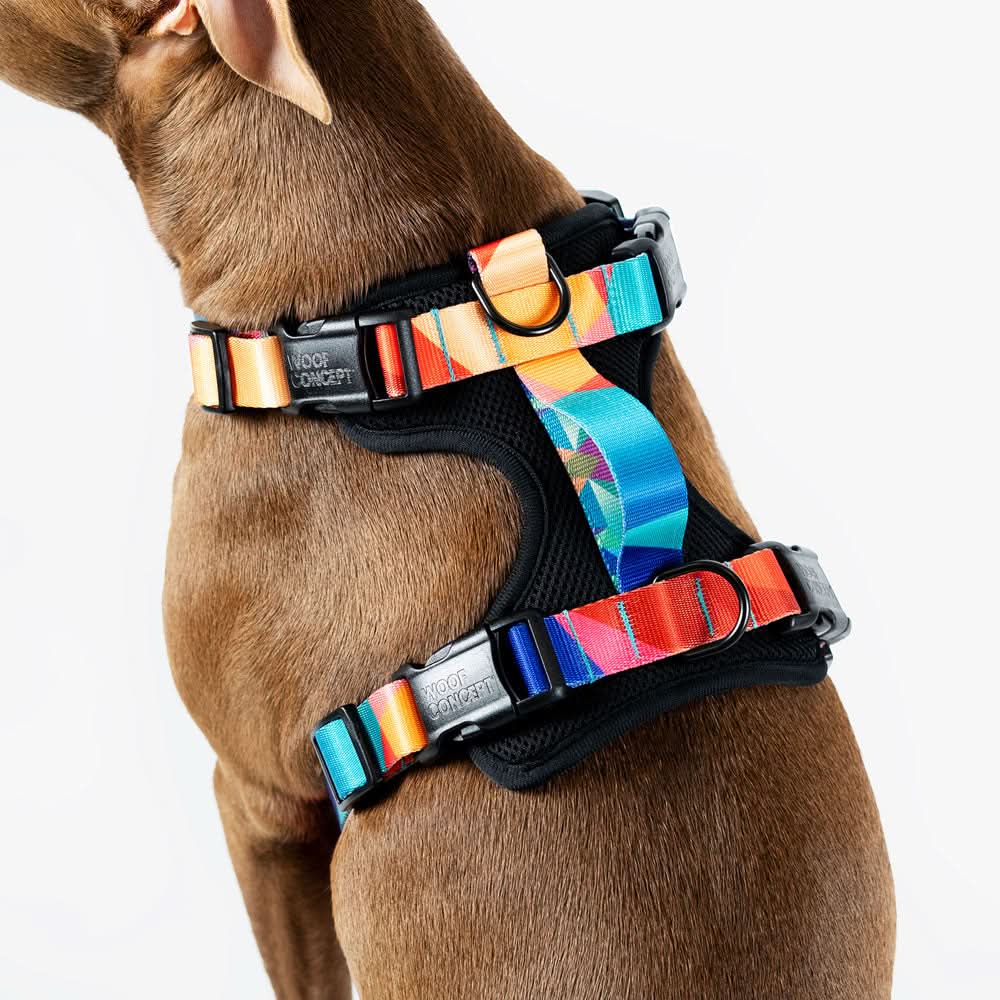 Woof Concept - Polygon 2 Max Control Harness