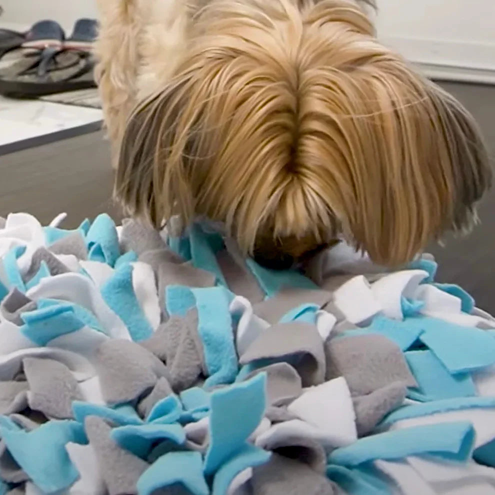 FouFouBrands Hide & Seek Snuffle Mat