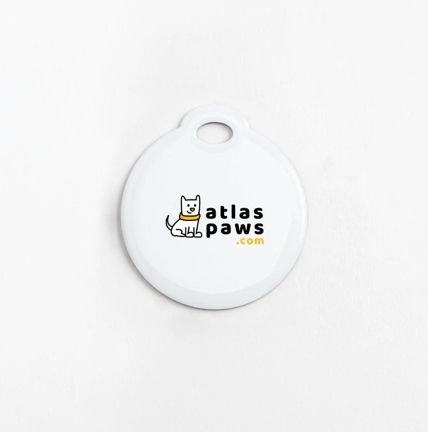Circle Collar Tag with Lost & Found Service