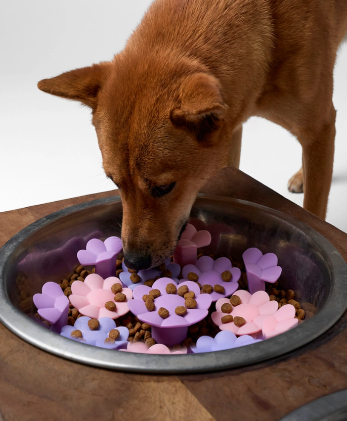KRWN- The Blossom Bowl Insert