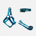 Woof Concept Riptide matching dog collar, leash and step-in harness set