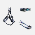 Woof Concept Combat matching dog collar, leash and step-in harness set