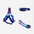 Woof Concept Mystic matching dog collar, leash and step-in harness set