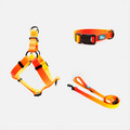 Woof Concept Sunset matching dog collar, leash and step-in harness set