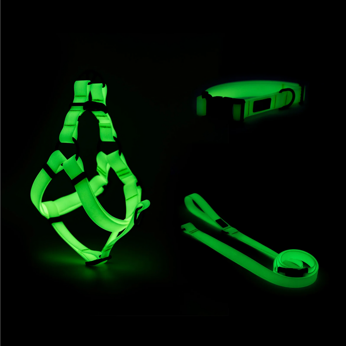 Woof Concept Lumen reflective dog collar, leash and step-in harness set