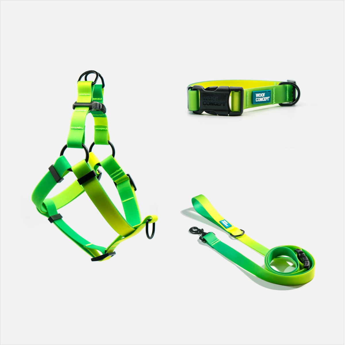 Woof Concept Lime Margarita matching dog collar, leash and step-in harness set
