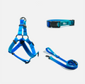 Woof Concept Blue Hawaiian matching dog collar, leash and step-in harness set