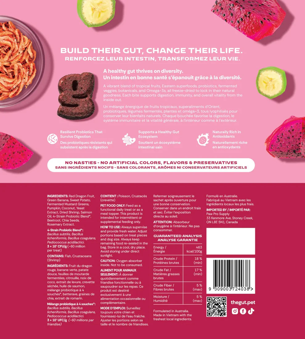 Gut + Dragon Fruit