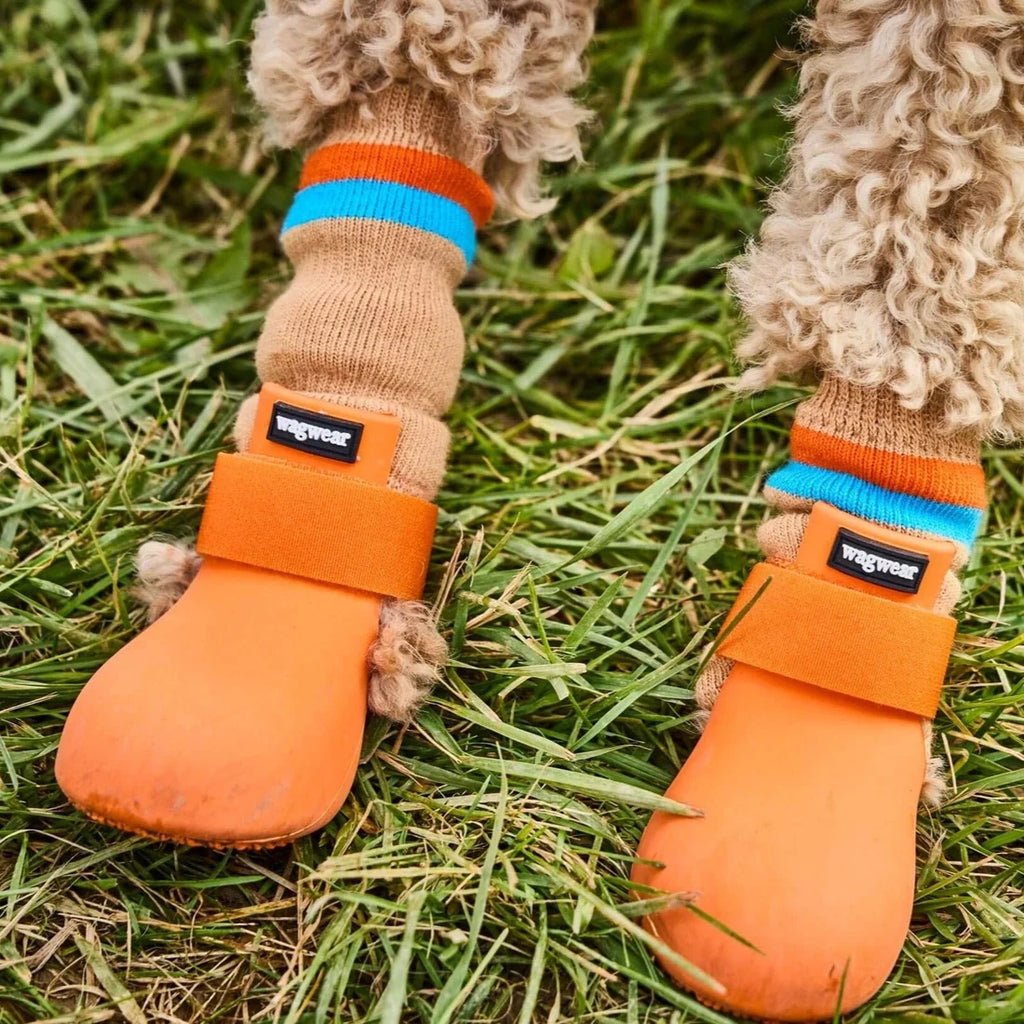 Wagwear - WagWellies Pink