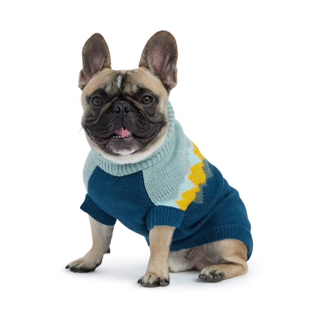 GF Pet Fireside Sweater - Teal
