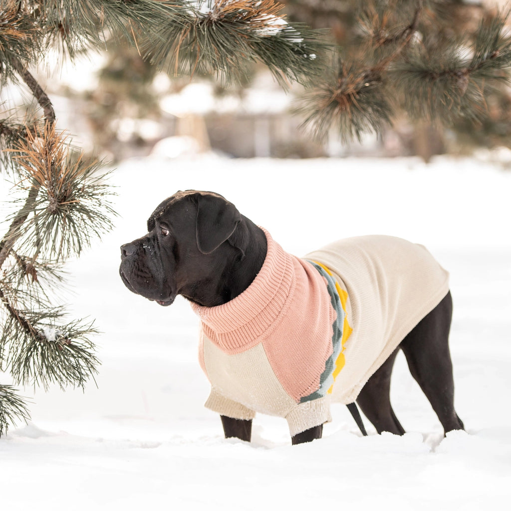 GF Pet Fireside Sweater - Clay