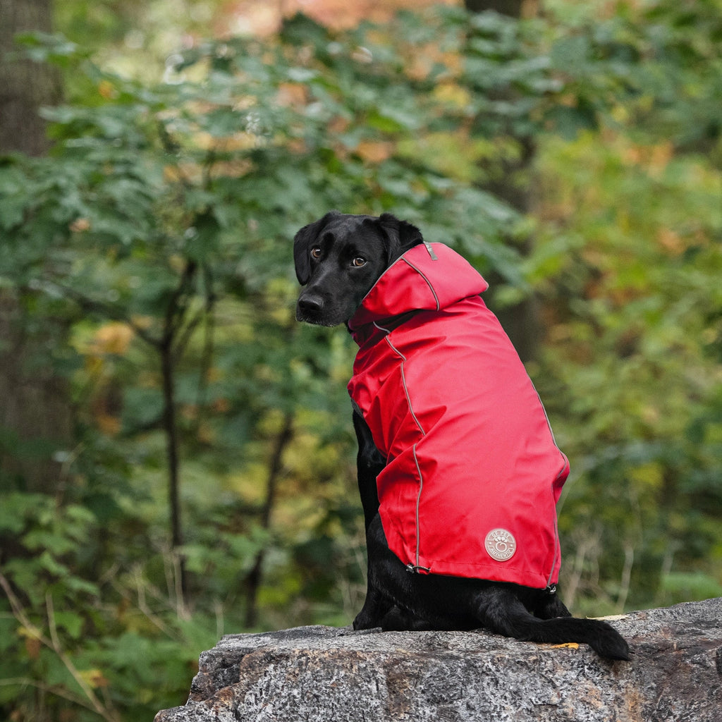 Reversible Elasto-Fit Raincoat - Small