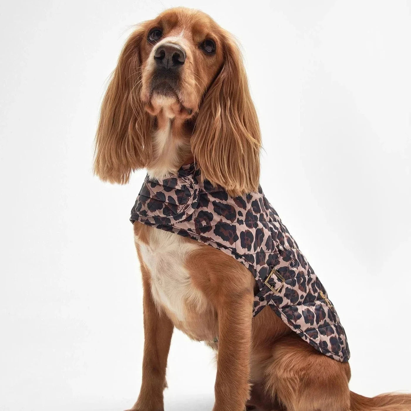 Barbour - Coat Quilted Boulevard