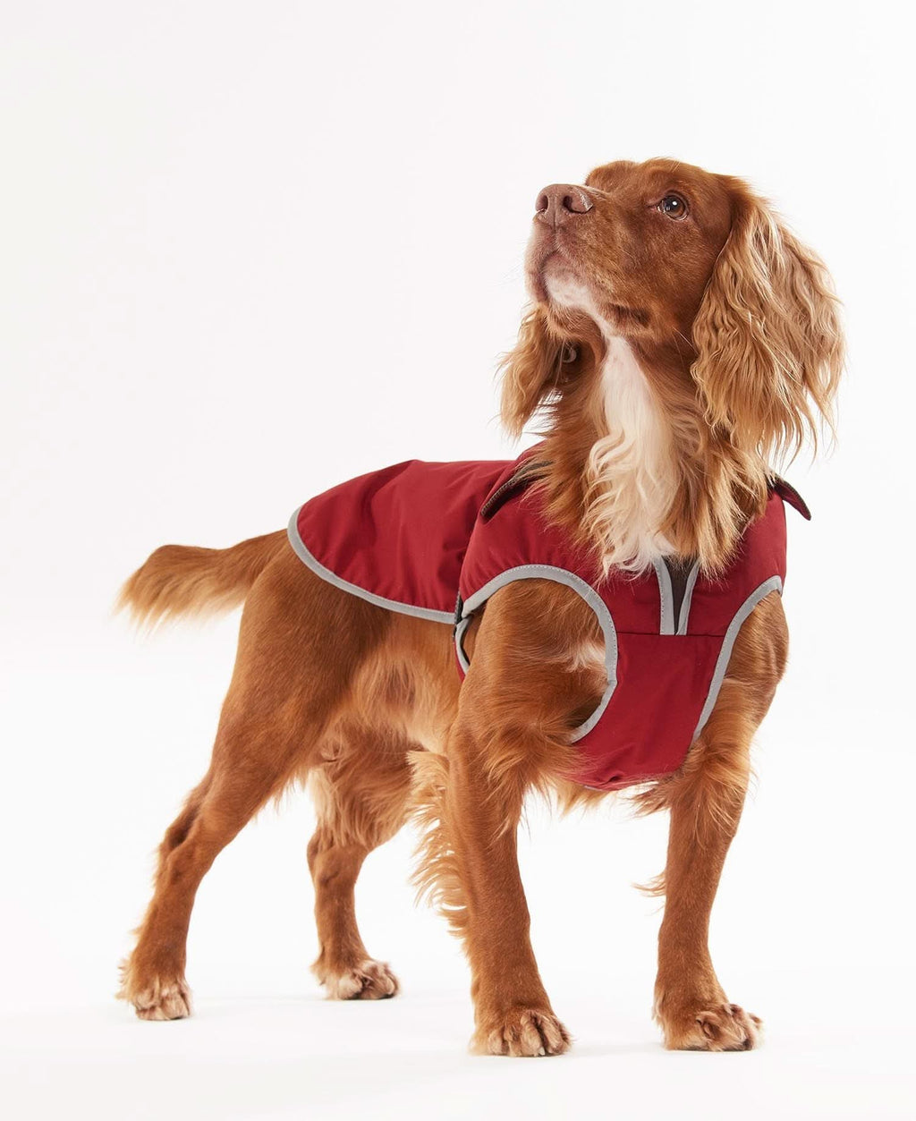 Barbour - Coat Monmouth WP Red