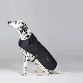 Barbour - Coat Quilted Black