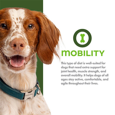 Fromm Mobility Chicken & Whole Oat Dry Dog Food