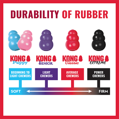 Kong - Donut Dog Toy