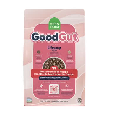 Open Farm - GoodGut Grass-Fed Beef Recipe Dry Dog Food