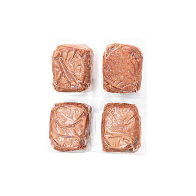 RED DOG BLUE KAT Foundations Raw Beef Recipe Frozen Cat Food 4 x 0.25 lb