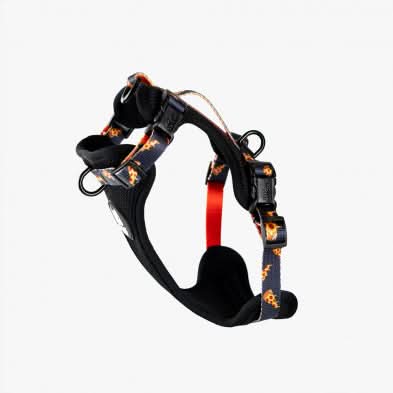 Woof Concept - Brooklyn Max Control Harness