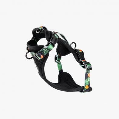 Woof Concept - Maui 2 Max Control Harness