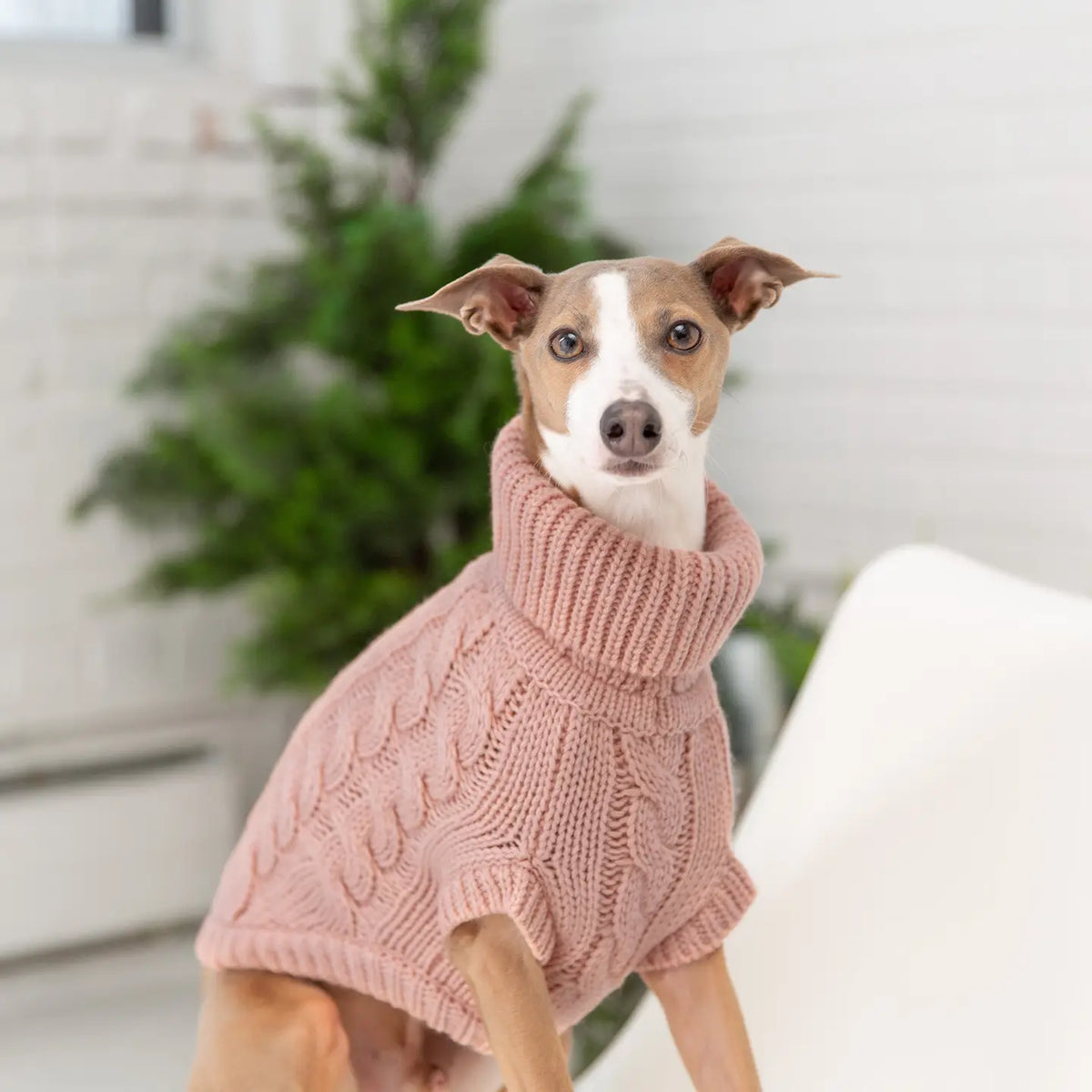 GF Pet Chalet Sweater - Pink