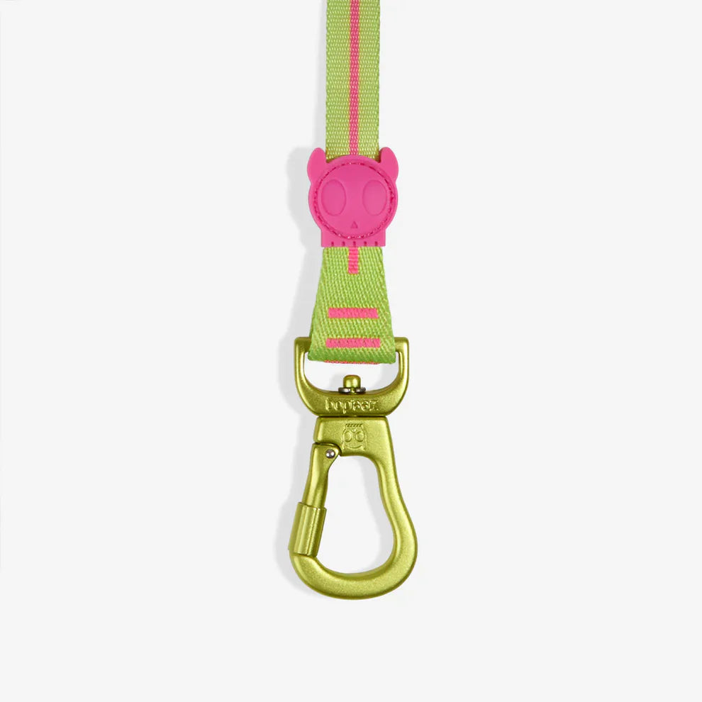 Zee.Dog CMYK Long Leash