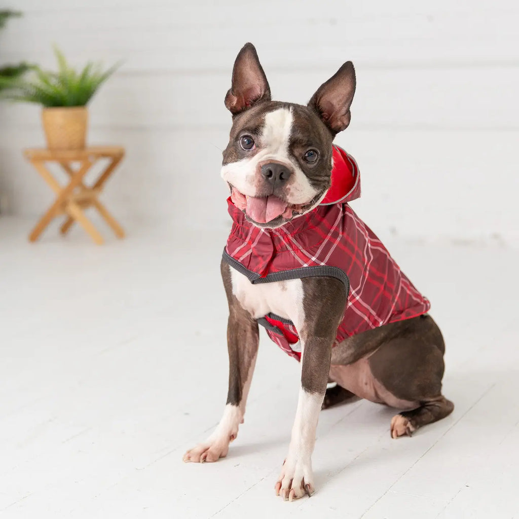 Reversible Elasto-Fit Raincoat - Small