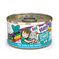 BFF OMG Gravy Chicken & Turkey QT Patootie 2.8oz Cat Can