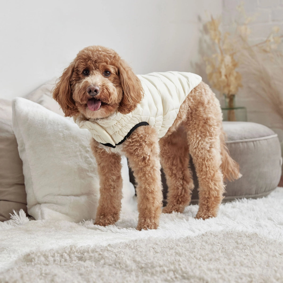 GF Pet Cloud Parka - Sand