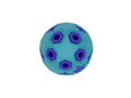Bud'Z - Rubber Astro Starry Blue Dog