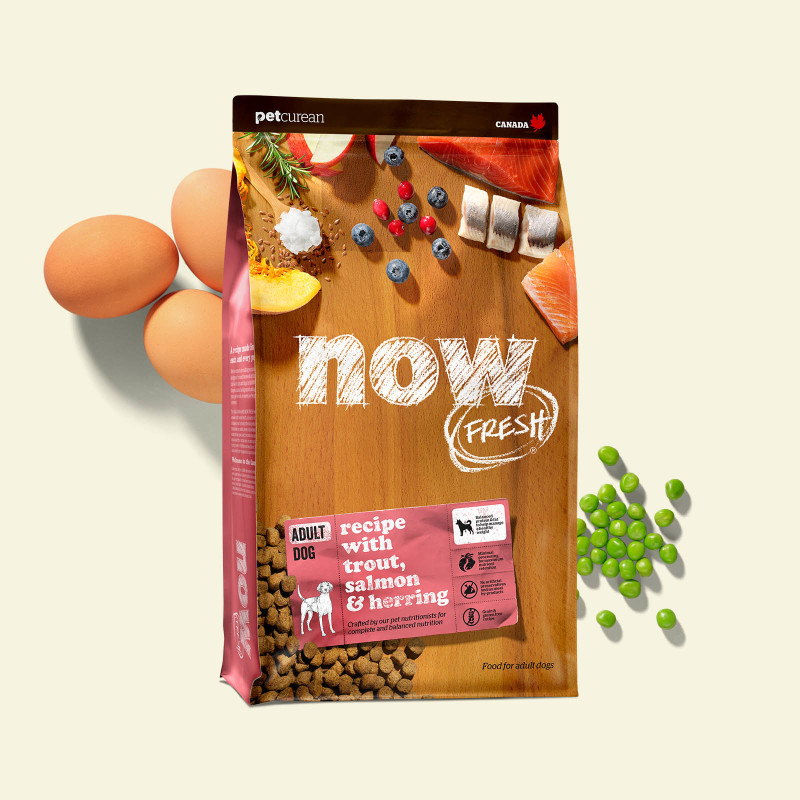 Now Fresh - Grain Free Fish