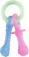 Nylabone - Teething Pacifier