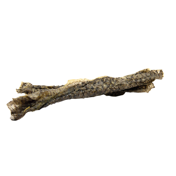files/large_8f3c4fea-78ca-49a8-855b-c0190a150a77.png